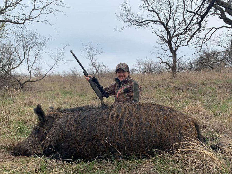 Hog Hunting: Full Guide