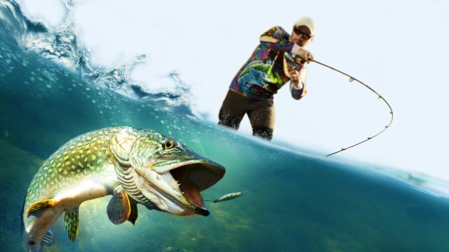 Fishing in the Ocean