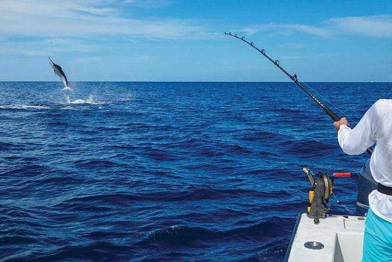 Fishing